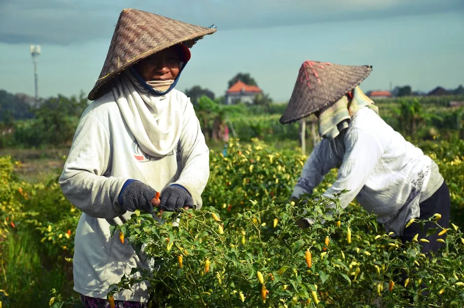 Agricultural Products