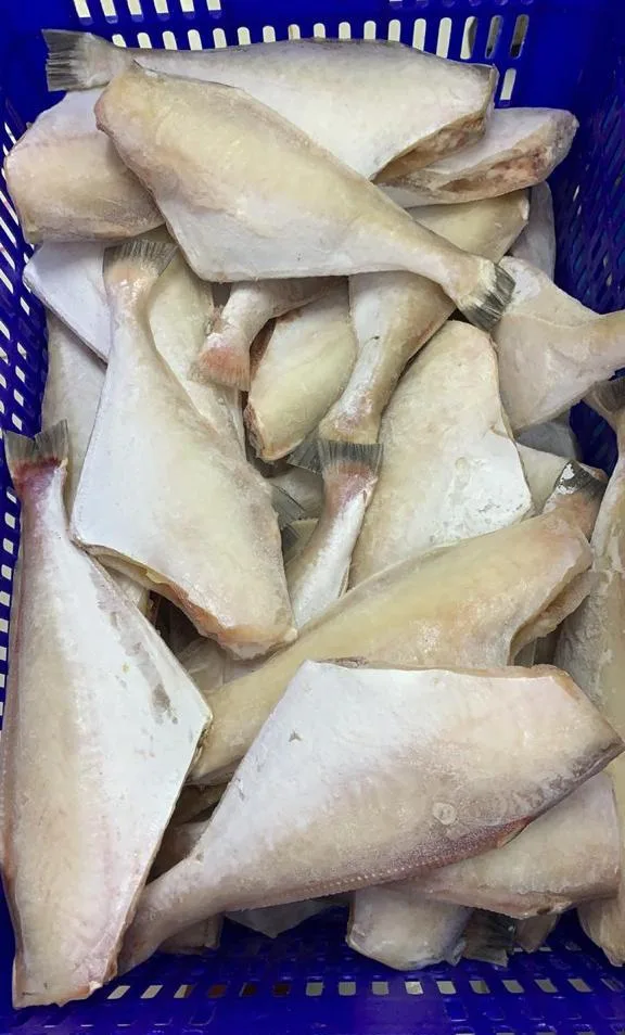 Leather Jacket Fish