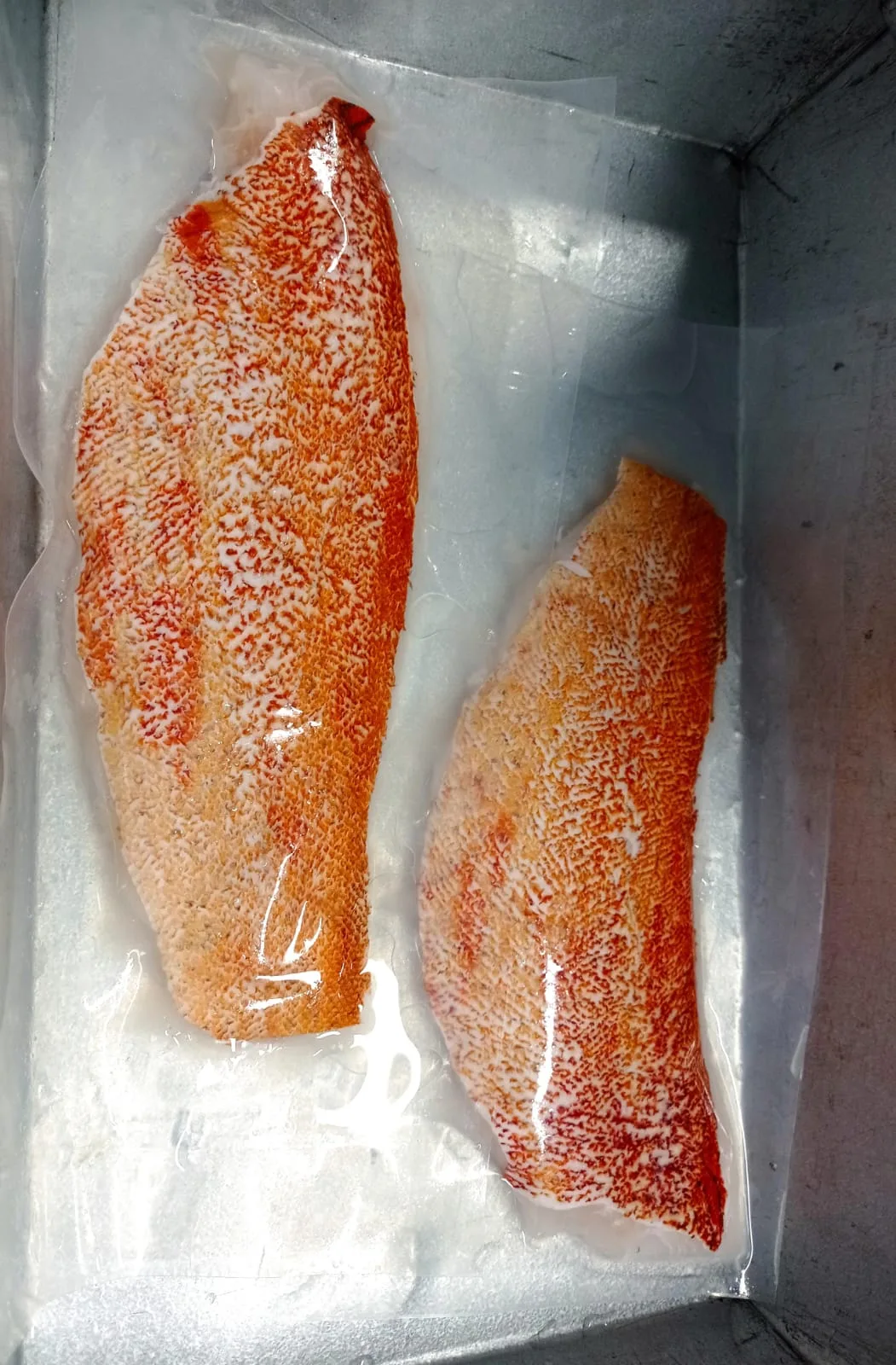 Red Grouper Fillet