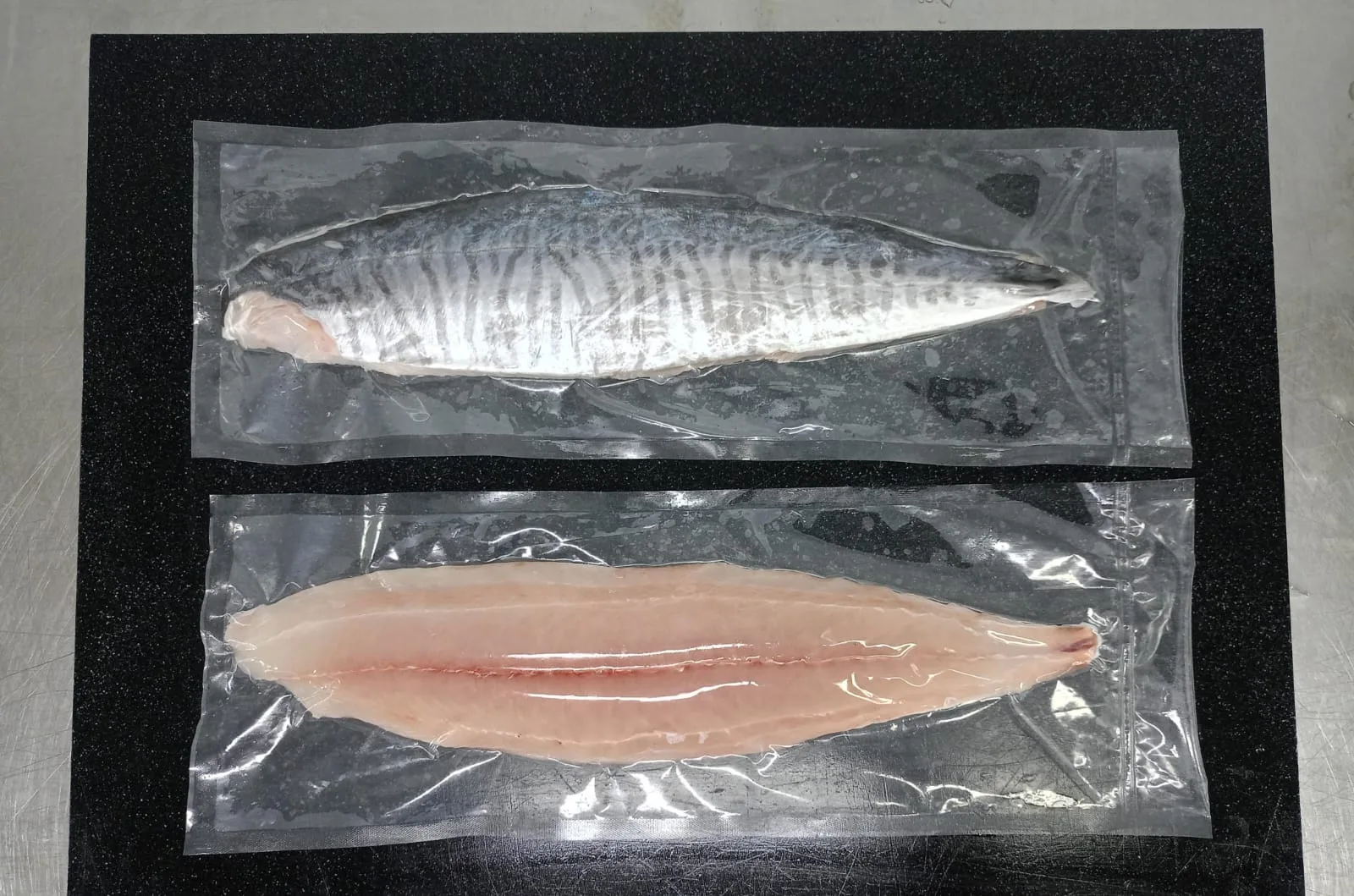 Mackerel Fillet